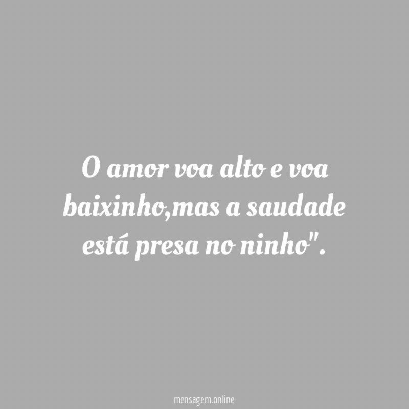 O amor voa alto e voa baixinho