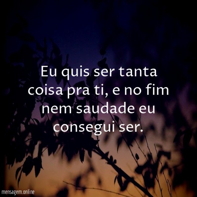 Eu quis ser tanta coisa pra ti