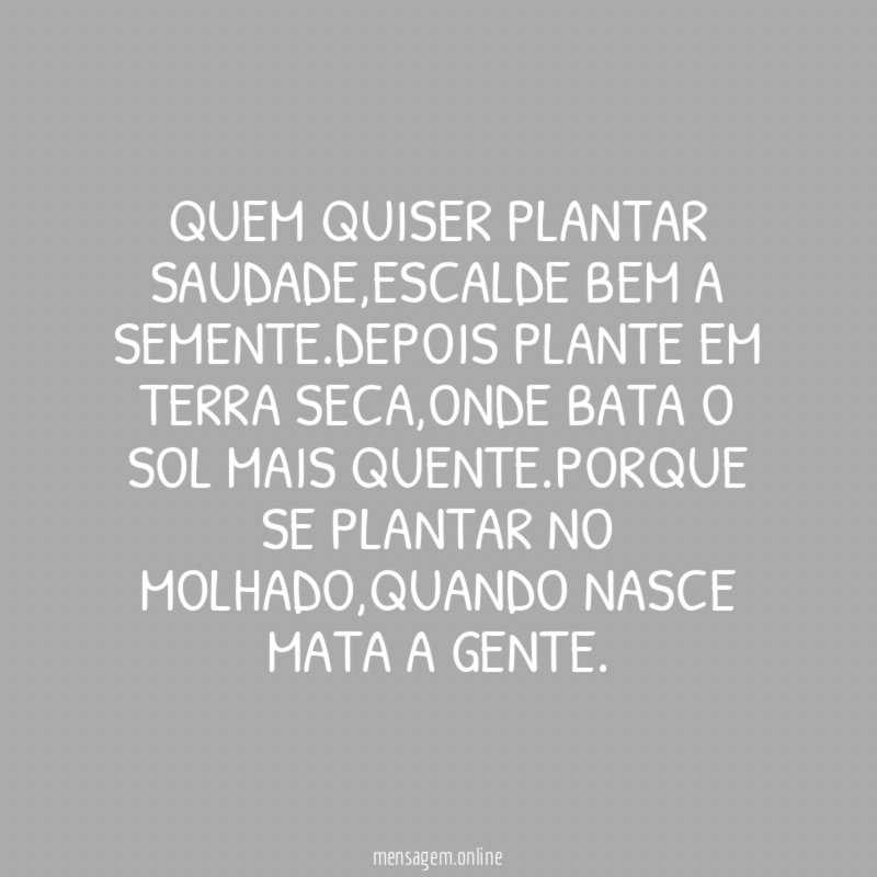QUEM QUISER PLANTAR SAUDADE