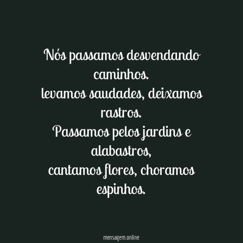 Nós passamos desvendando caminhos