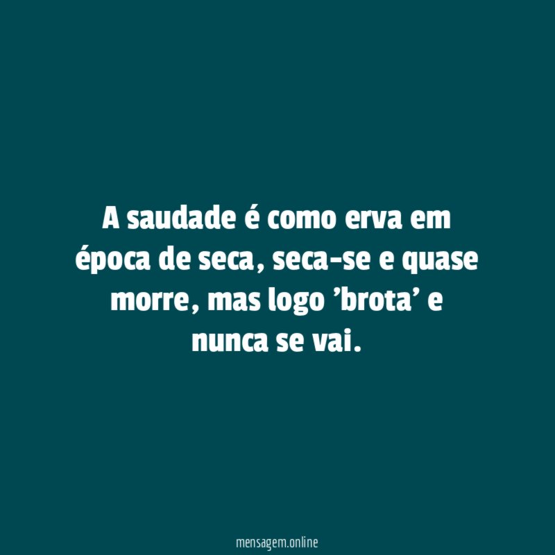 A saudade é como erva em época de seca