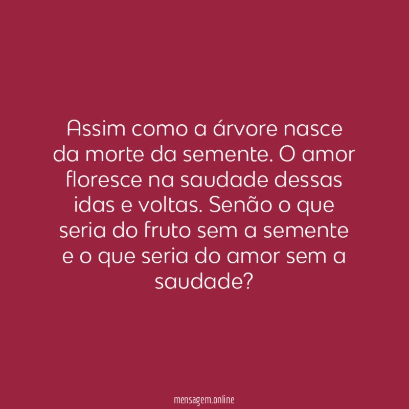 Assim como a árvore nasce da morte da semente