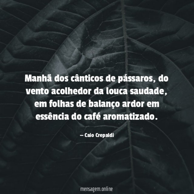 Manhã dos cânticos de pássaros