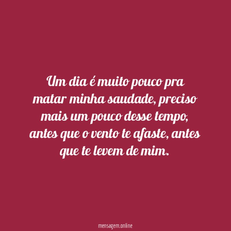 Um dia é muito pouco pra matar minha saudade