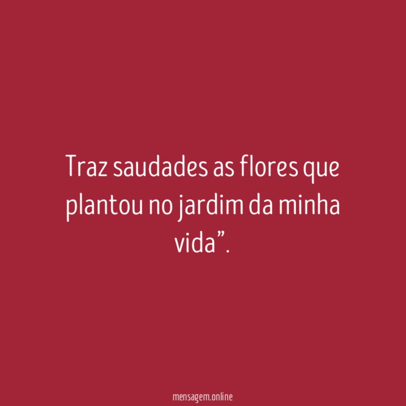 Traz saudades as flores que plantou no jardim da minha vida”