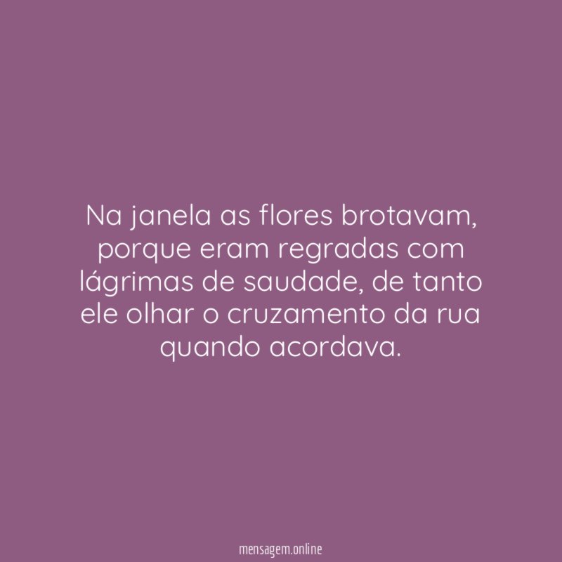Na janela as flores brotavam
