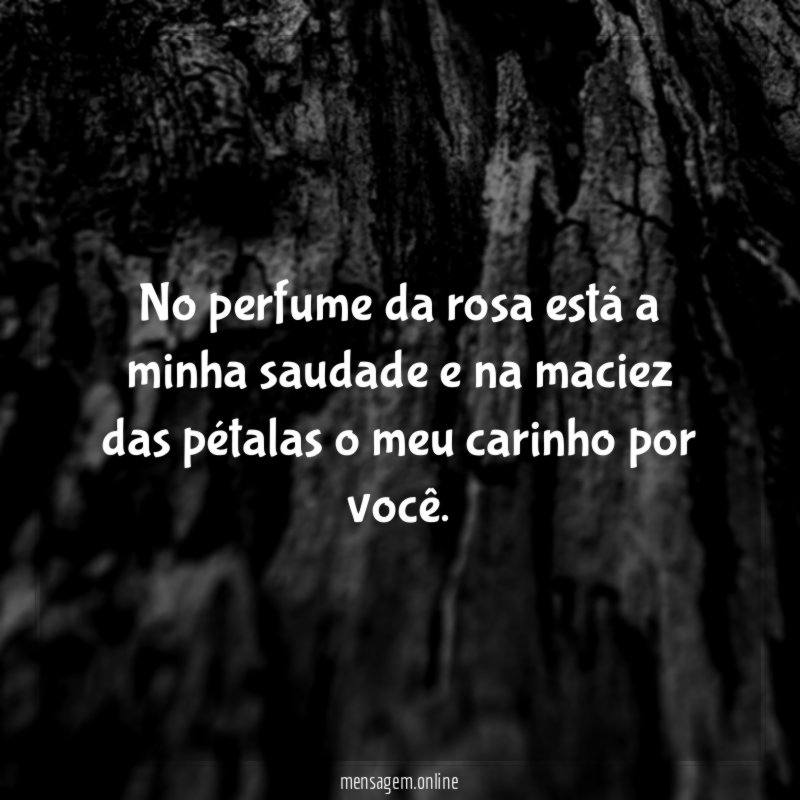No perfume da rosa está a minha saudade