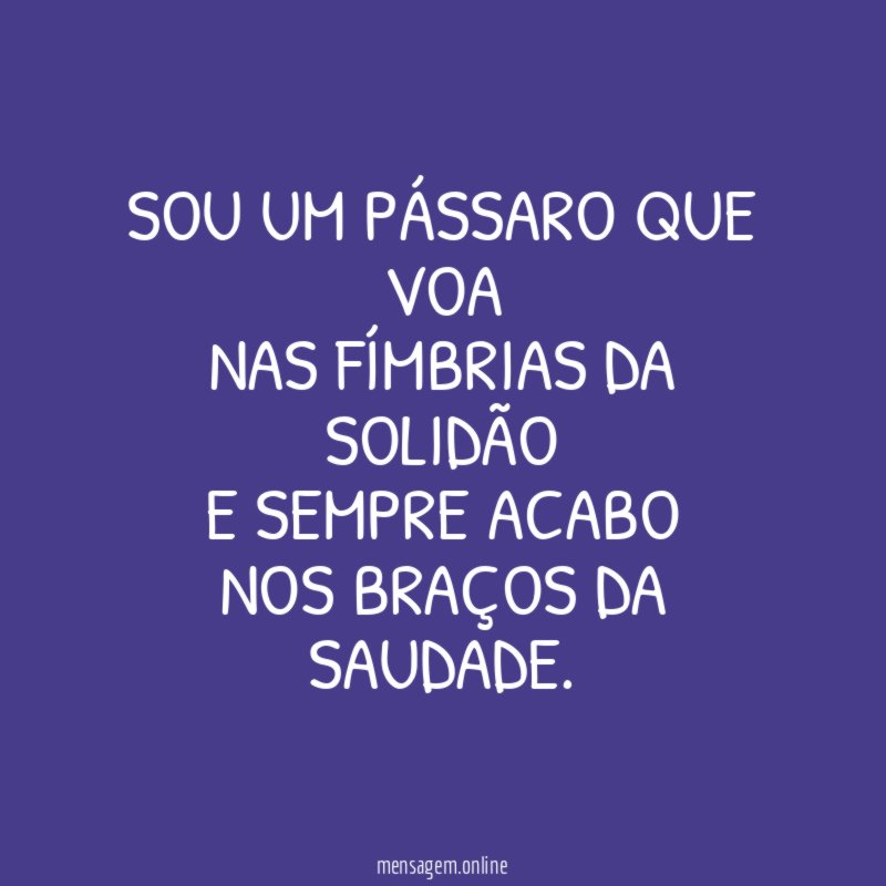 Sou um pássaro que voa nas fímbrias da solidão