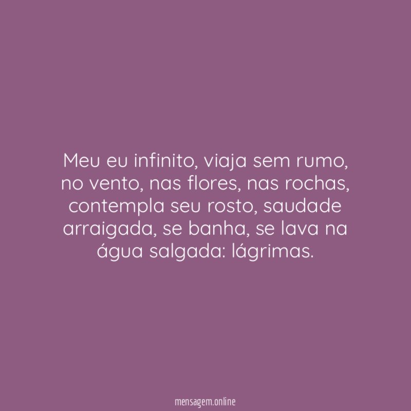 Meu eu infinito