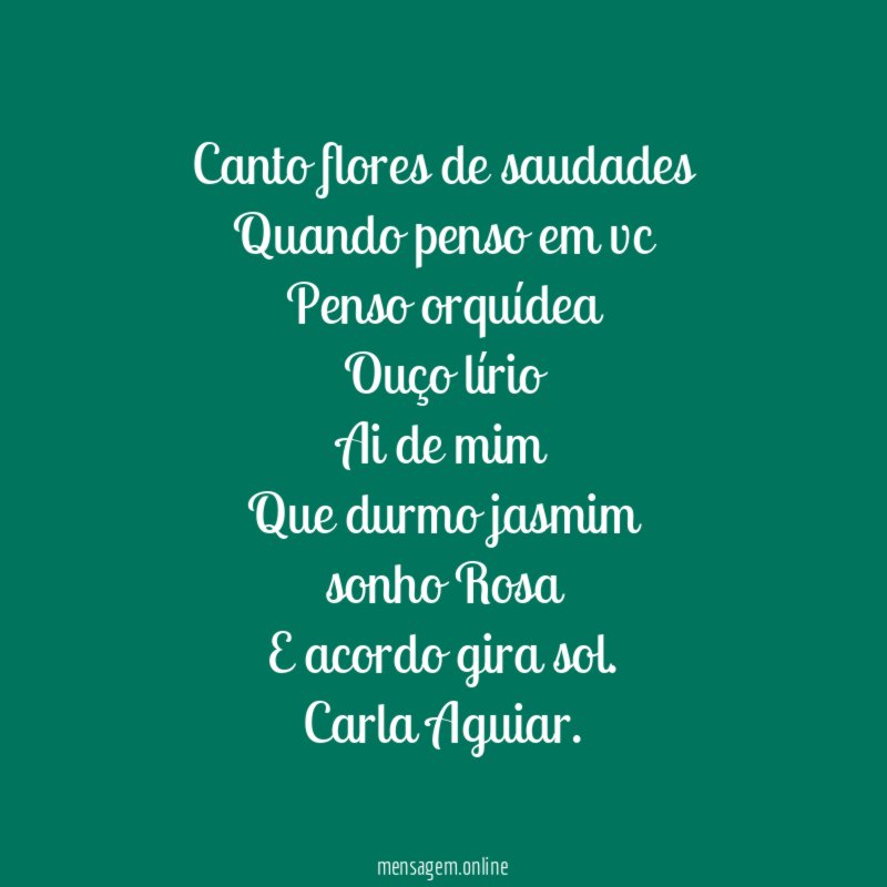 Canto flores de saudades Quando penso em vc Penso