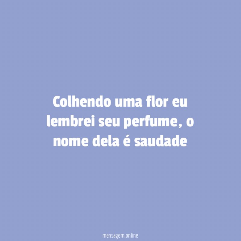Colhendo uma flor eu lembrei seu perfume