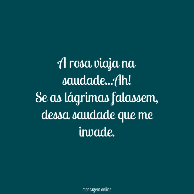 A rosa viaja na saudade