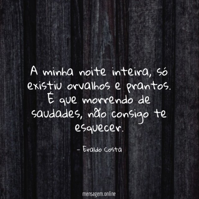 A minha noite inteira