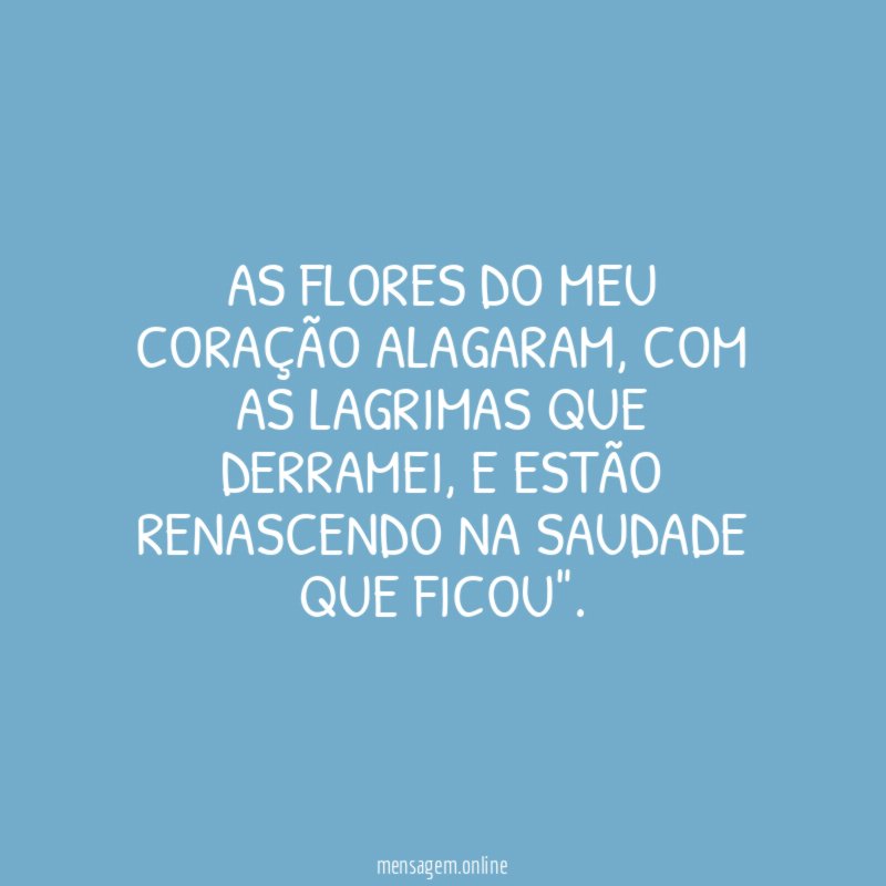 AS FLORES DO MEU CORAÇÃO ALAGARAM