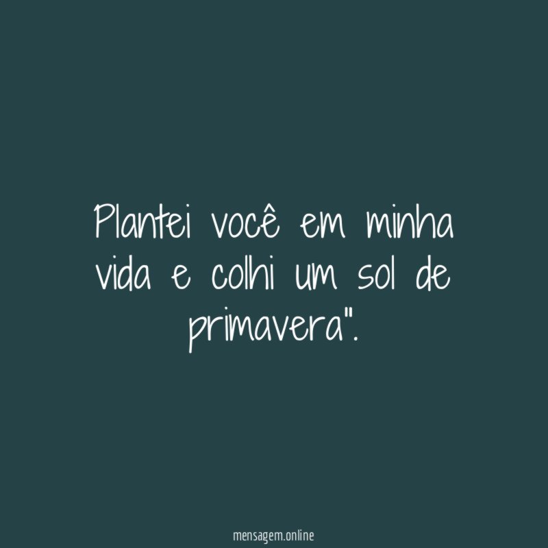 Plantei você em minha vida e colhi um sol de primavera"