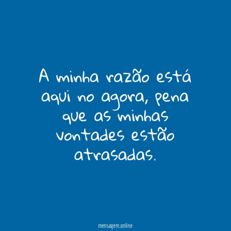A minha razão está aqui no agora