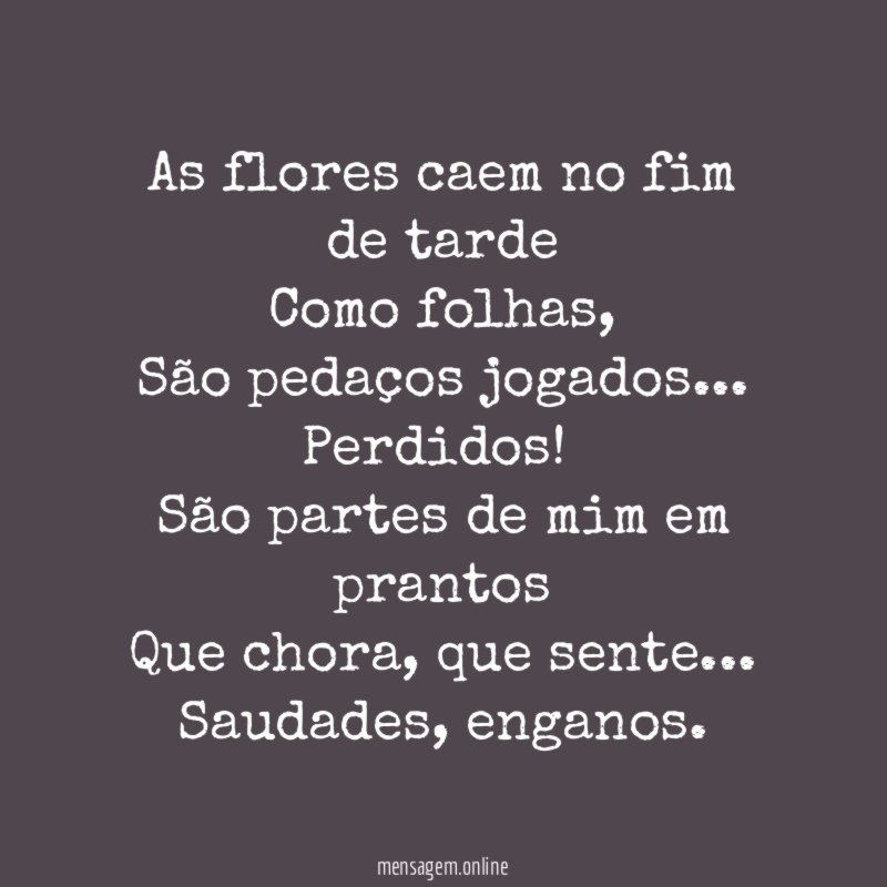 As flores caem no fim de tarde Como folhas