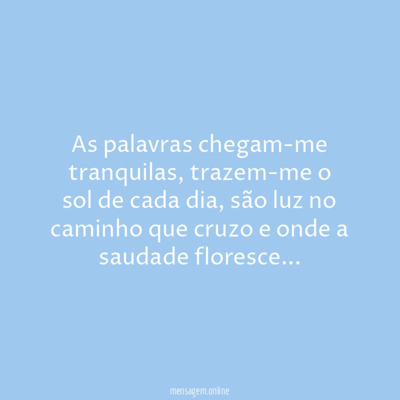 as palavras chegam-me tranquilas