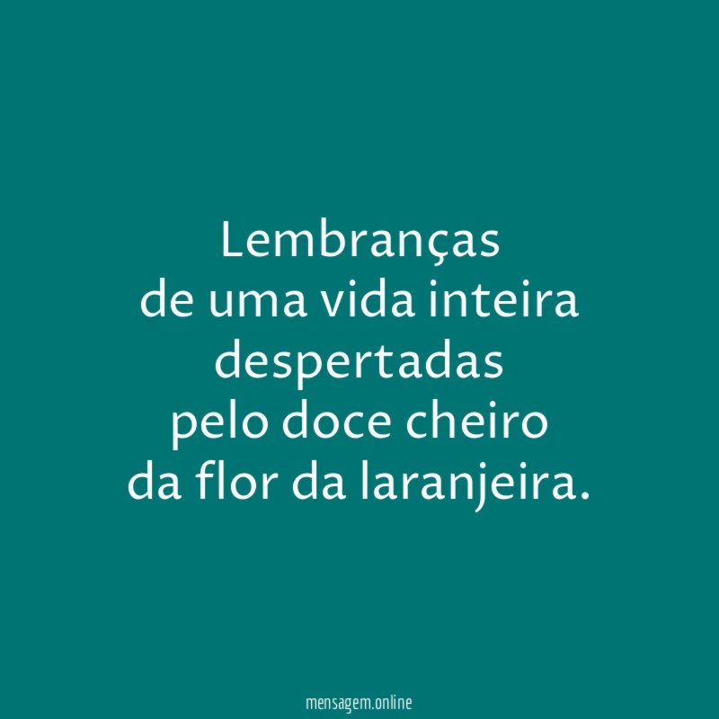 Lembranças de uma vida inteira despertadas pelo doce cheiro da flor da