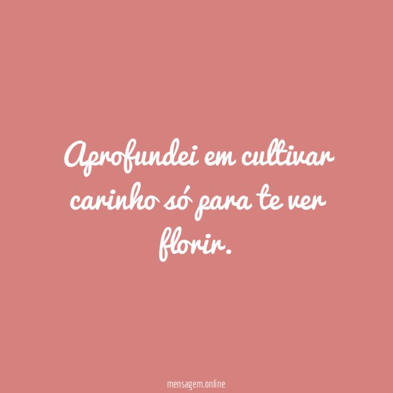 Aprofundei em cultivar carinho só para te ver florir