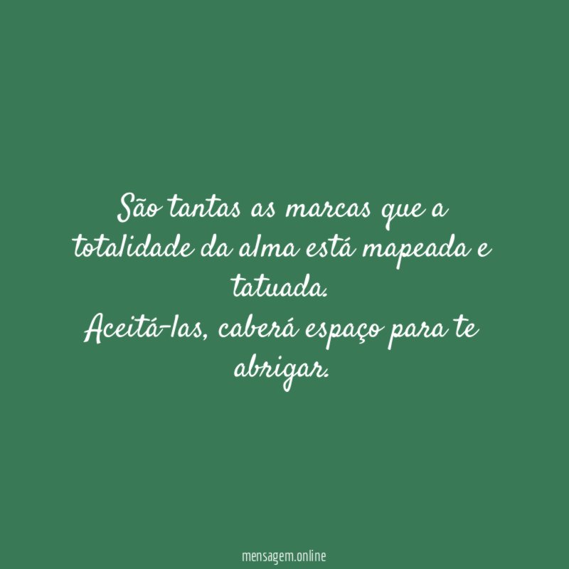 São tantas as marcas que a totalidade da
