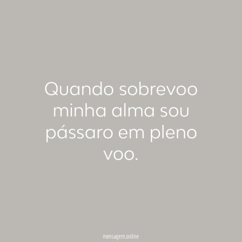 Quando sobrevoo minha alma sou pássaro em pleno voo