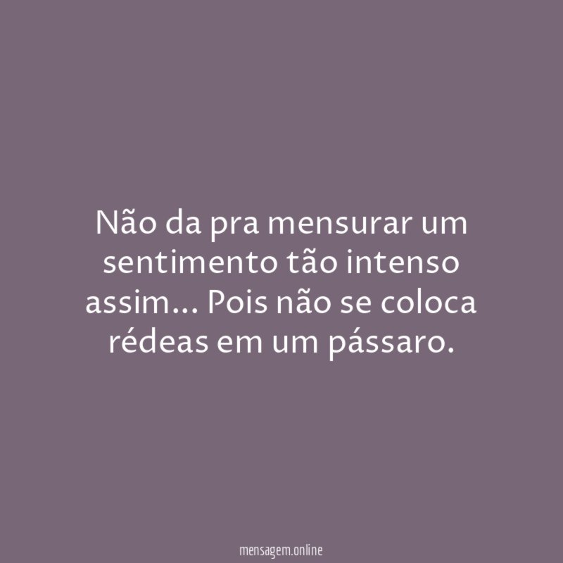 Não da pra mensurar um sentimento tão intenso assim