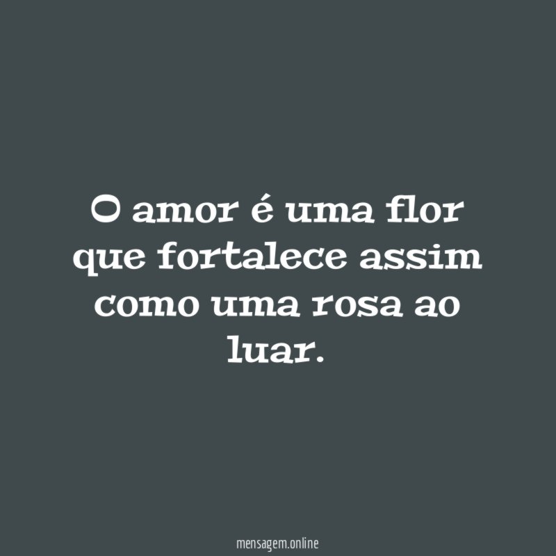 O amor é uma flor que fortalece assim como uma rosa ao luar