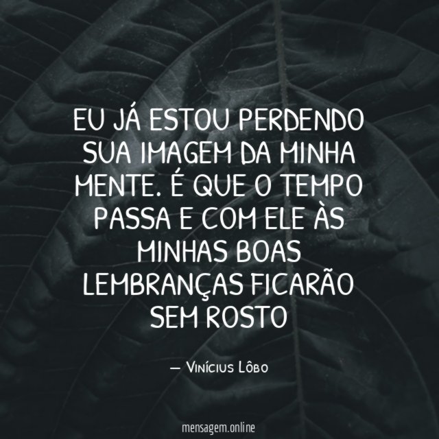 Eu já estou perdendo sua imagem da minha mente