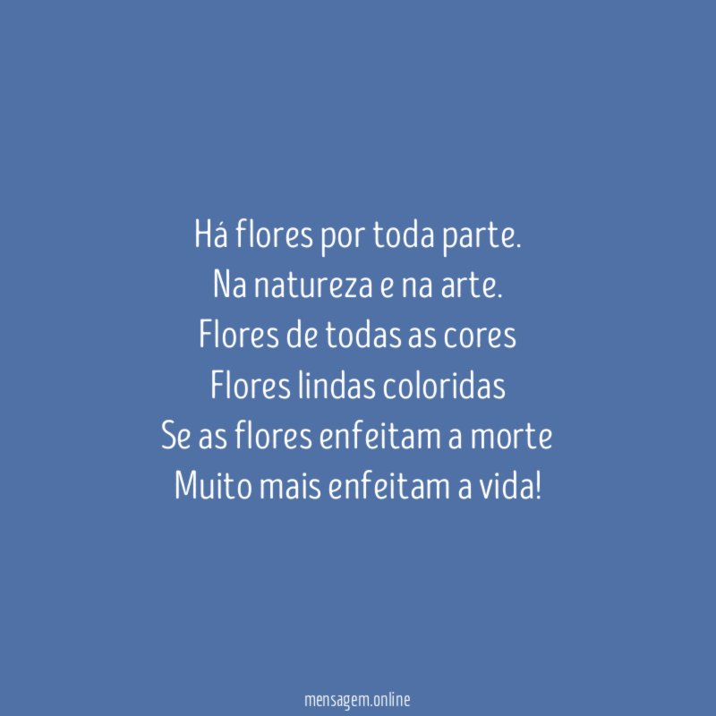 Há flores por toda parte
