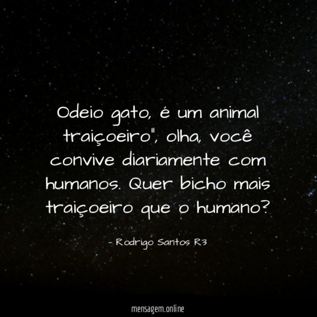 Odeio gato