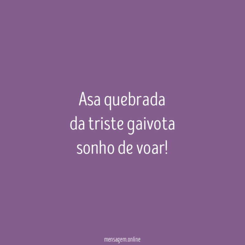 Asa quebrada da triste gaivota sonho de voar