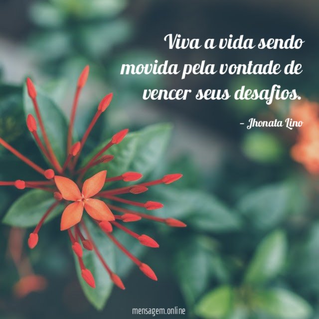 Viva a vida sendo movida pela vontade de vencer seus desafios