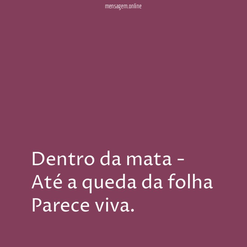 Dentro da mata - Até a queda da folha Parece viva