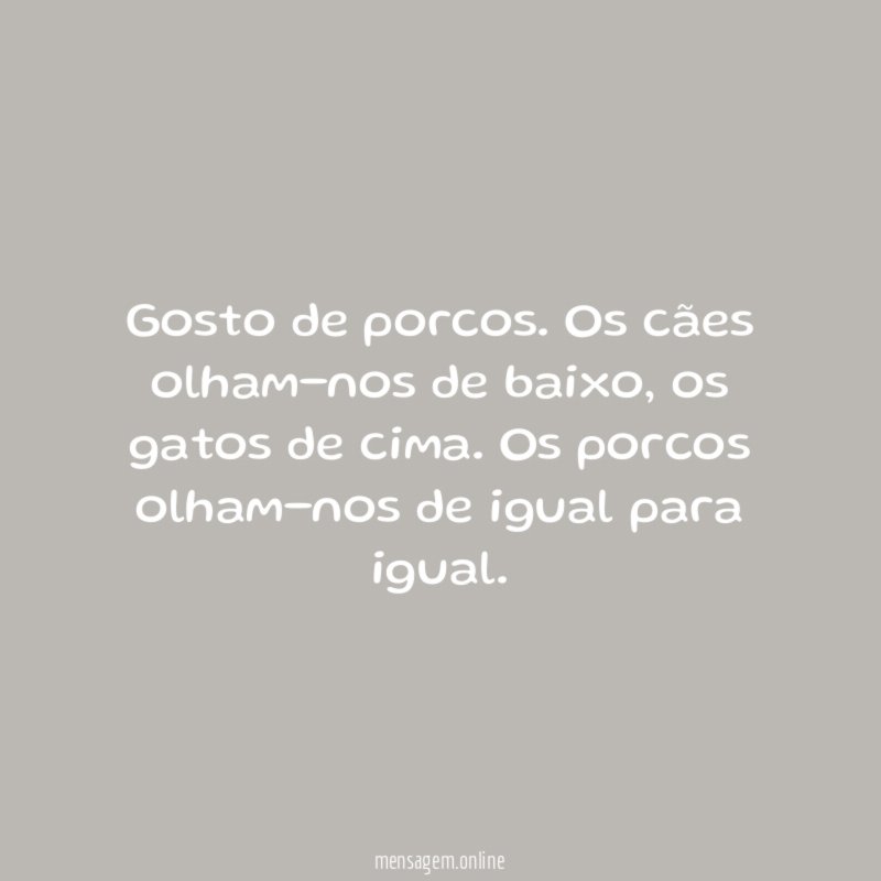 Gosto de porcos