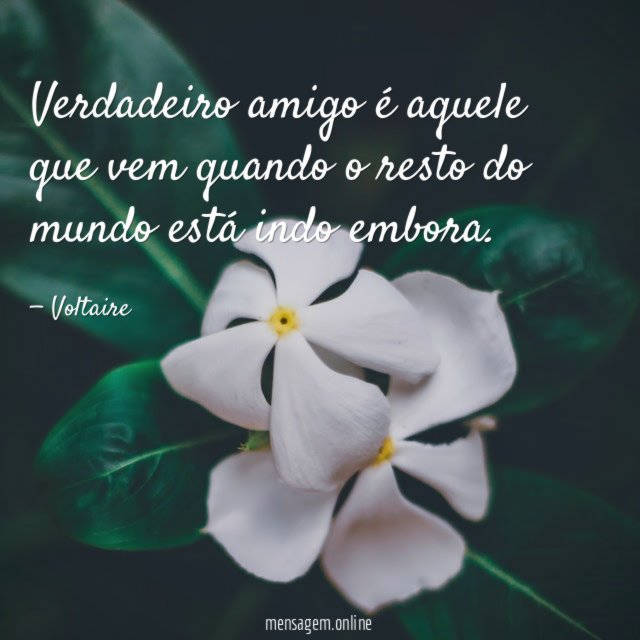 Verdadeiro amigo é aquele que vem quando