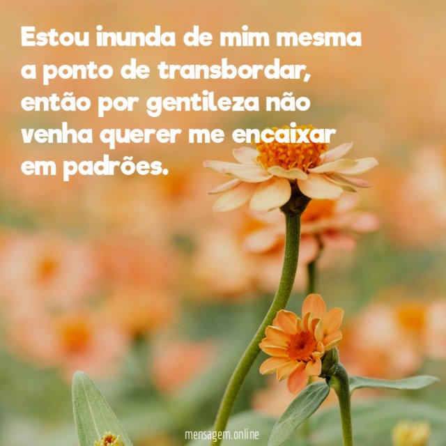 Estou inunda de mim mesma a ponto de transbordar
