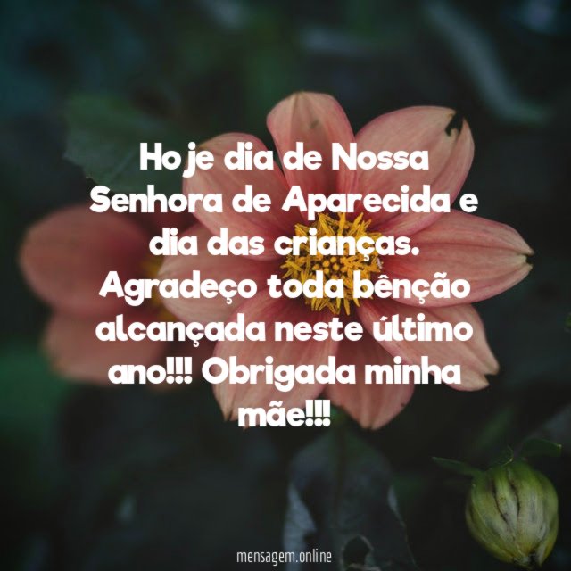 Hoje dia de Nossa Senhora de Aparecida e dia das crianças
