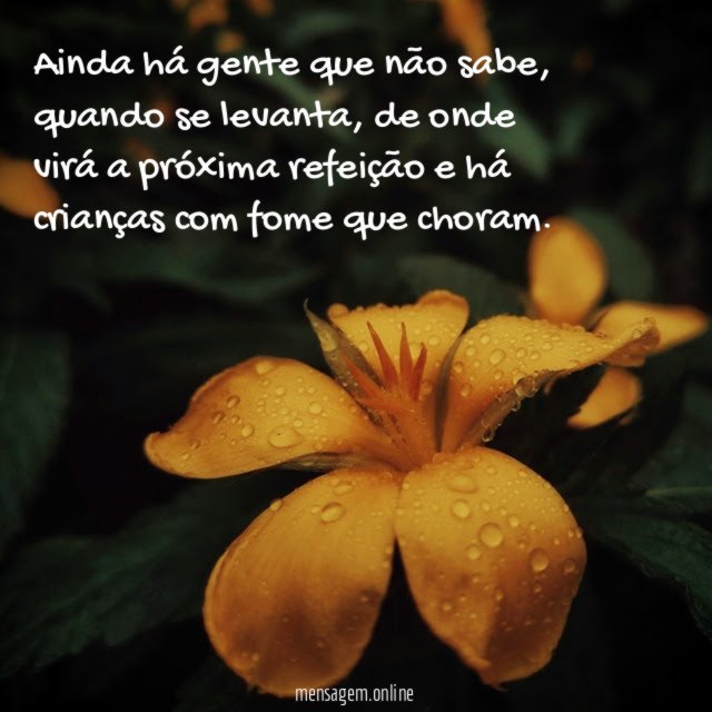 Ainda há gente que não sabe