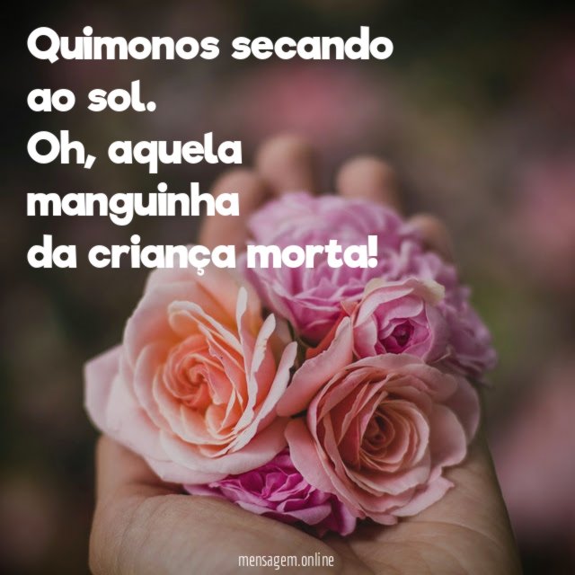 Quimonos secando ao sol