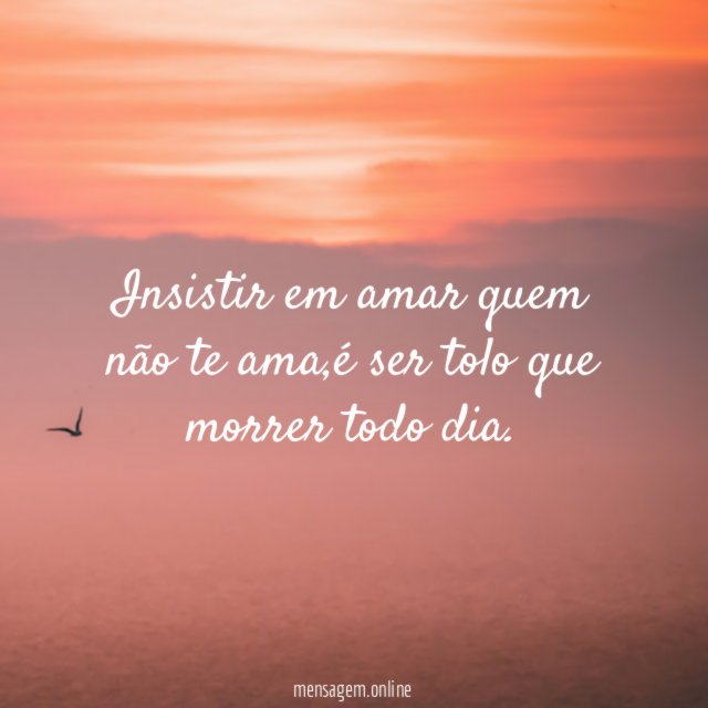 Insistir em amar quem não te ama