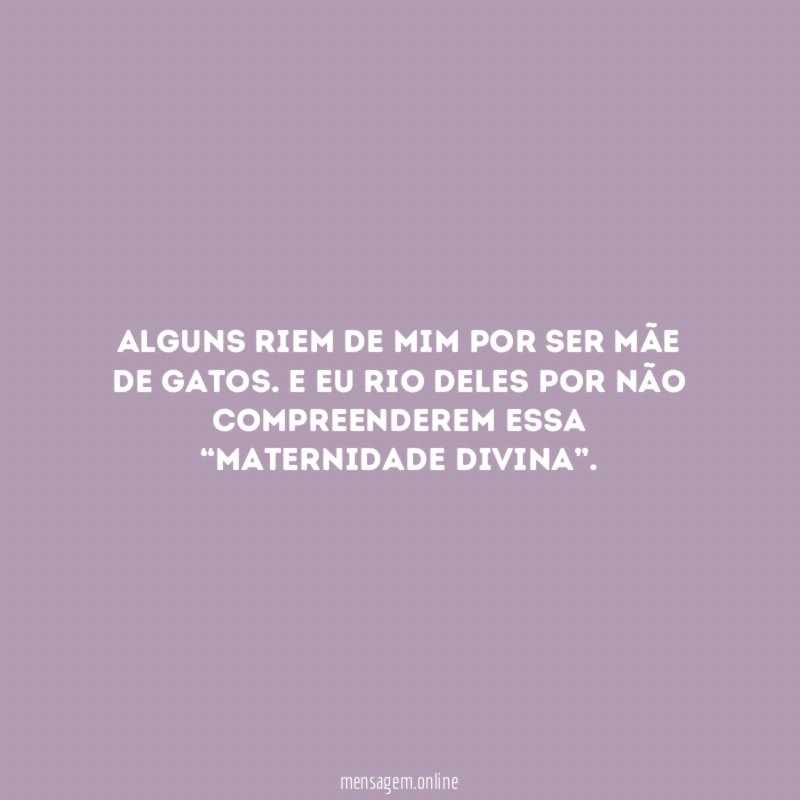 Alguns riem de mim por ser mãe de gatos