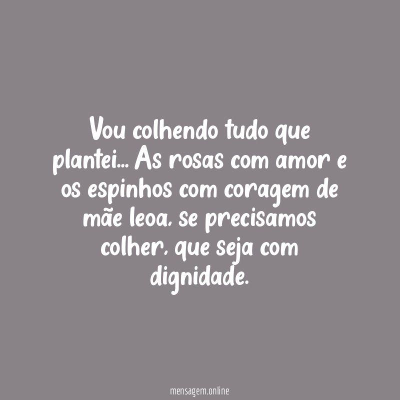 Vou colhendo tudo que plantei