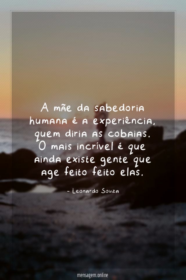 A mãe da sabedoria humana é a experiência