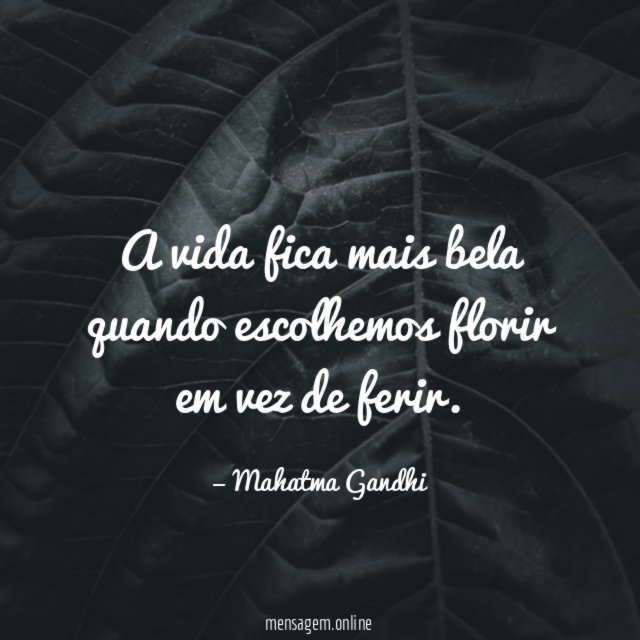 A vida fica mais bela quando escolhemos florir em vez de ferir