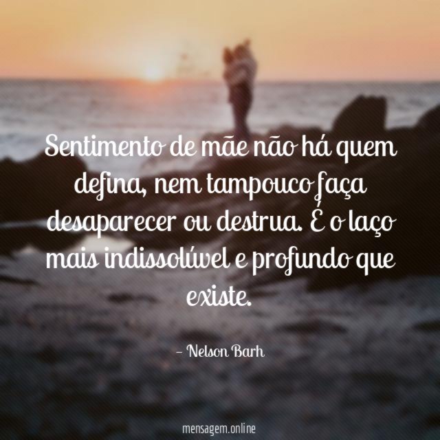 Sentimento de mãe não há quem defina