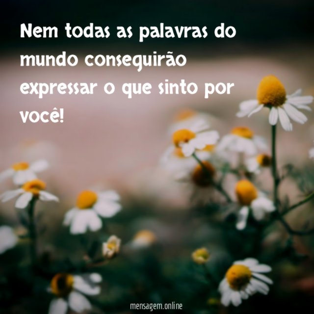 Nem todas as palavras do mundo conseguirão expressar