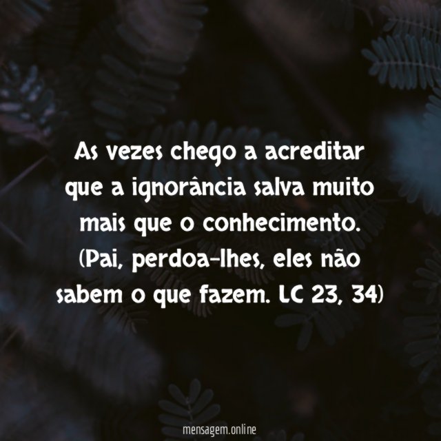 As vezes chego a acreditar que a ignorância