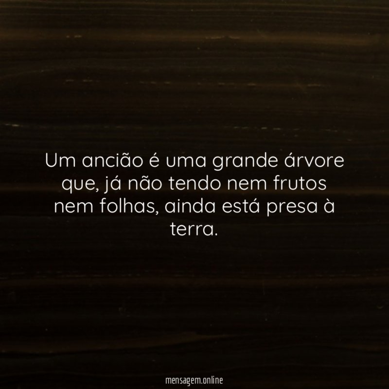 Um ancião é uma grande árvore que