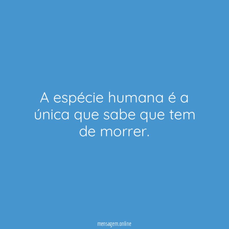 A espécie humana é a única que sabe que tem de morrer